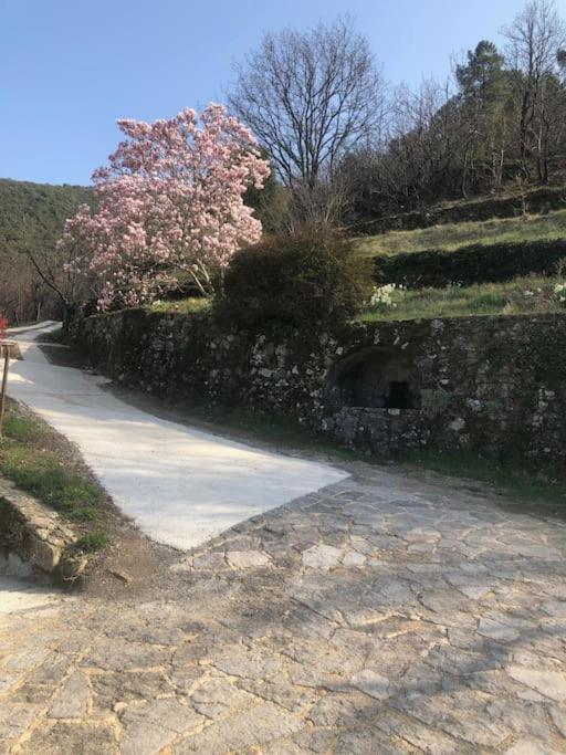 Avec Terrasse Dans Mas Historique Cevenol *