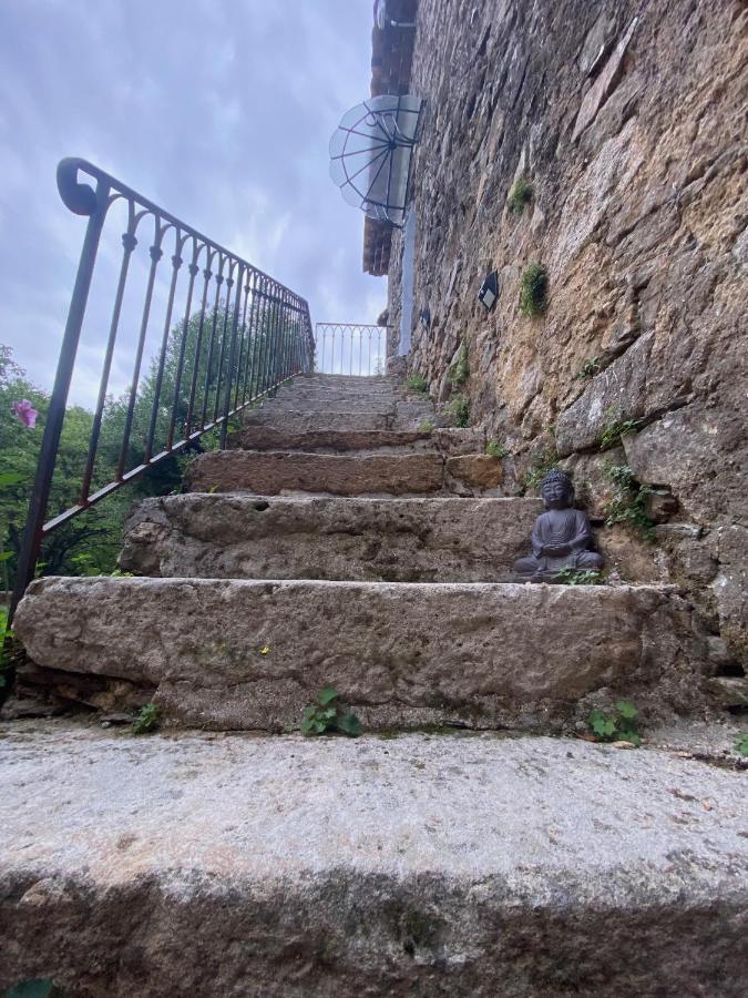 Avec Terrasse Dans Mas Historique Cevenol * Saint-Paul-la-Coste